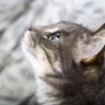 Фото профиля kiki