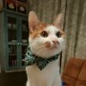 Profilbild von yuka