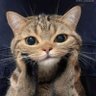 Profilbild von Mona