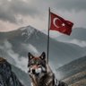 sarı komutan25 profil fotoğrafı