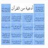 Фото профиля عايشه الفارسي