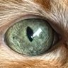 B profil fotoğrafı