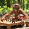 Orang_hutan profil fotoğrafı