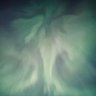Lareydo1's profile picture