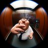 Profilbild von danny welbeck