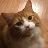 Amy D's profile picture