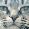 моментов море's profile picture