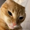 Profilbild von มีหัวใจไว้อินกับเพลงก็พอแล้ว