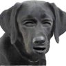 Poop Head's profile picture