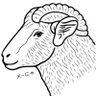 メ ー に ゃ 🐑🤍元ケアマネ兼リハビリ/作業療法/理学療法/言語聴覚/看護師/介護士/保育士 的头像