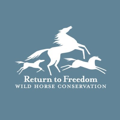 ReturnToFreedom's profile picture