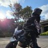LadyPocket's profile picture