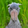 Фото профиля Artie Dwinger