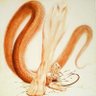 Supreme 的头像