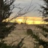 Farmer Shane's profile picture