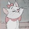Profilbild von ひめ
