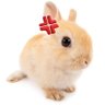 monster bun profil fotoğrafı