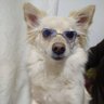 Profilbild von Katty OM