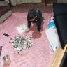 Фото профиля vero