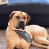ScOG1 profil fotoğrafı