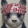 Profilbild von どぬさん🌞(ニャーシー)