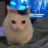 azrael's profile picture