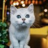 george0112's profile picture