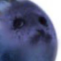 poot's profile picture