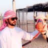𓅓 عابر سبيل 𓅓's profile picture