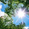 サニー日和🌞(SHUN🦅) 的头像