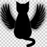 猫竜𝕏😺🐲's profile picture