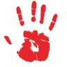 NOVOSADSKE VESTI's profile picture