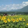 Фото профиля おおゆき