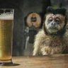 HakunaMatata 的头像