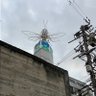 Profilbild von トワイライト546