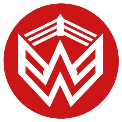 Wrestle Ish's profile picture