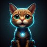 haX profil fotoğrafı