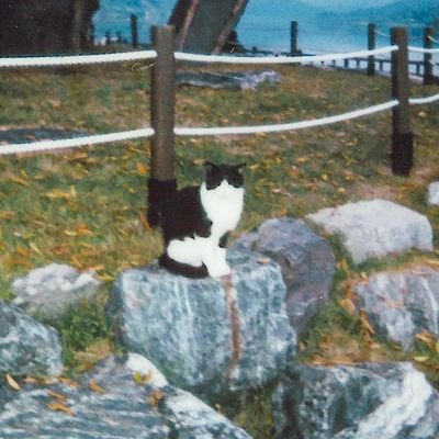 absolutezerokim's profile picture