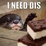 Otter Eating Ice Cream's profile picture