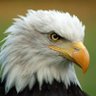 Profilbild von MazFajita❤️Jesus❤️🇺🇸 ❤️🦅
