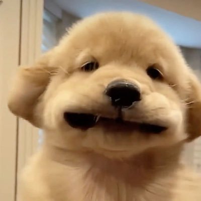 ᴵ ᵃᵐ J (real)'s profile picture