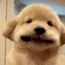 ᴵ ᵃᵐ J (real) 的头像