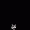 Weegee Kill mario's profile picture