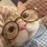 mia profil fotoğrafı