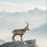 Фото профиля SeydrethMoorah