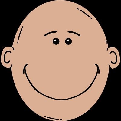 The bro wkwk's profile picture
