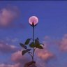 Фото профиля Amy.ReadHeadReviews