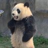 มอมอ profil fotoğrafı