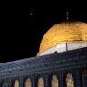 Фото профиля رجل حُرّ