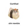 sushicat :3's profile picture